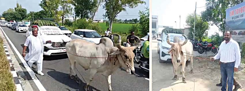 ये पंजाब है पुत्तर: पांच महीने से नहीं मिली आरसी तो भड़का ग्राहक, किया ऐसा काम; हर जगह होने लगी चर्चा