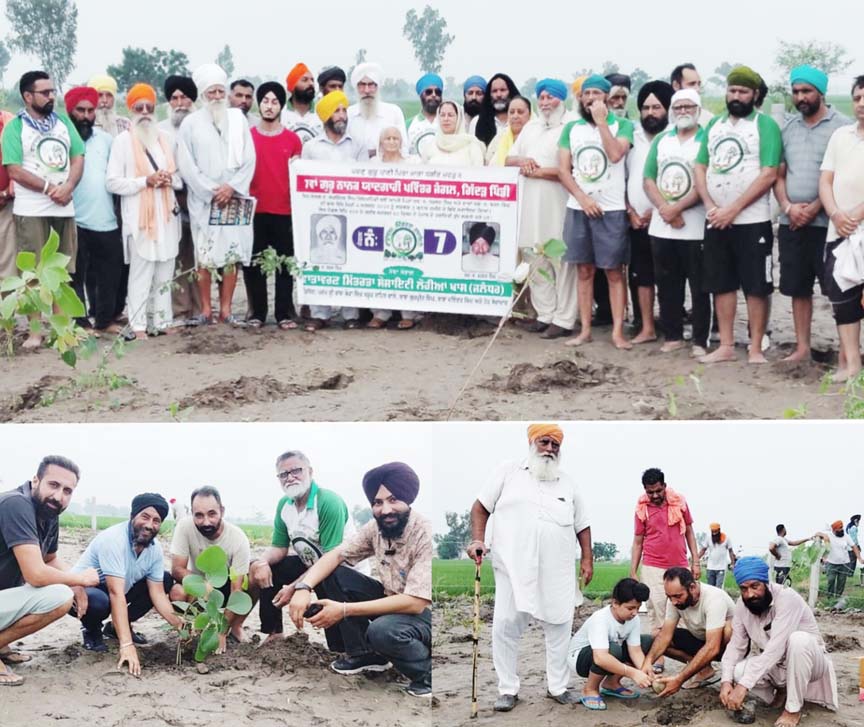 ਗਿੱਦੜ ਪਿੰਡੀ ਦੇ ਲਖਵਿੰਦਰ ਸਿੰਘ ਖਿੰਡਾ ਤੇ ਰਣਧੀਰ ਸਿੰਘ ਖਿੰਡਾ ਨੇ ਆਪਣੇ ਦਾਦੇ ਤੇ ਪਿਤਾ ਦੀ ਯਾਦ ਵਿੱਚ ਆਪਣੀ ਤਿੰਨ ਕਨਾਲ ਜਮੀਨ ਵਿੱਚ ਲਗਵਾਇਆਂ ਜੰਗਲ