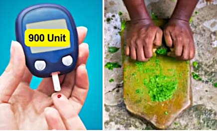 7 साल की बच्ची की शुगर 900 पार, रामदेव के 2 नुस्खों से 69 पर आई, इकट्ठे कर लो नीम के पत्ते