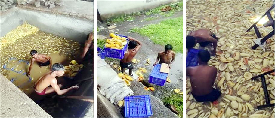 टूटी-फ्रूटी बनती कैसे है? वायरल वीडियो ने मचाया बवाल, अब आप भी चखने से पहले 1000 बार सोचेंगे